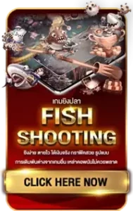 Mode_fishshooting.png